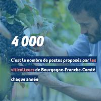 offres_vendanges_1080.jpg
