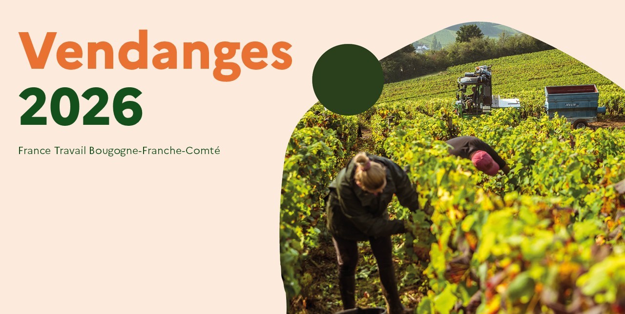 Vendanges 2026.jpg
