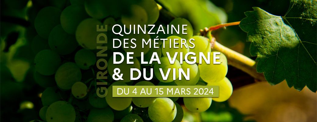 1040x400_vigne-vin.jpg (Invitation Presse)