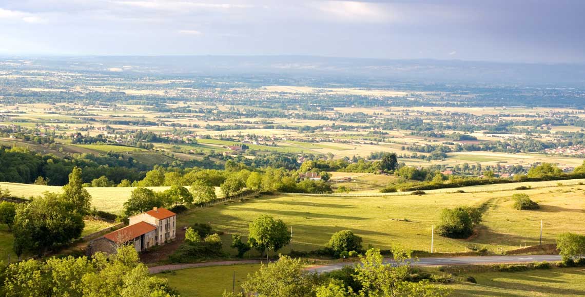 La plaine