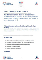 Téléchargez le document appel à projet AAP POEC année 2019_VF(pdf, 952.66 KB) (Nouvelle fenêtre)