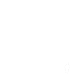 Toutes les données en région